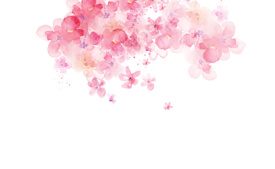 decorative image