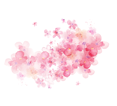 decorative image